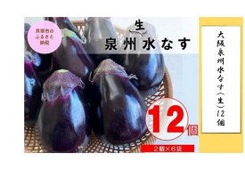 【ふるさと納税】大阪泉州水なす(生)12個