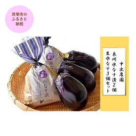【ふるさと納税】【先行予約】中出農園　泉州水なす漬2個＋生水なす3個セット | 泉州水なす 水なす 貝塚市水なす 泉州水ナス 水ナス 貝塚市水ナス
