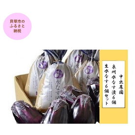 【ふるさと納税】【先行予約】中出農園　泉州水なす漬6個＋生水なす6個セット | 泉州水なす 水なす 貝塚市水なす 泉州水ナス 水ナス 貝塚市水ナス