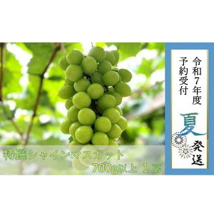 yӂ邳Ɣ[ŁzyLˎsYzIVC}XJbg 700gȏ@2025N8蔭 | ʌ s\ \ Ԃǂ uhE   t[c ʕ 嗱  Mtg  L
