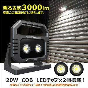 yӂ邳Ɣ[Łz[dLED 40W 3000LM F Ra95 N50}Olbg F [dCg |[^u R[hX YC40-NB