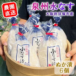 【ふるさと納税】<先行予約>北野農園 泉州水なすぬか漬6個