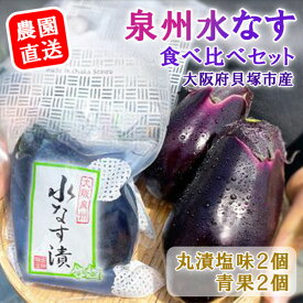 【ふるさと納税】＜先行予約＞北野農園　泉州水なす丸漬塩味2個＋生水なす2個