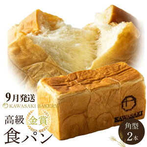 yӂ邳Ɣ[ŁzyYgpzܐHp p^ 2{Zbg | ӂ邳Ɣ[ p  퉷 ̓ ̓ Mtg x[J[ H  t`g[Xg o^[ Ă ~ 