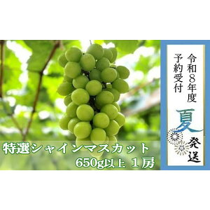 yӂ邳Ɣ[Łz2026N s\8{yLˎsYzIVC}XJbg 650gȏ | ʌ s\ \ Ԃǂ uhE   t[c ʕ 嗱  Mtg