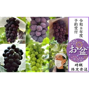 yӂ邳Ɣ[Łz~iyLˎsYzԂǂ3l4`5[ 2.6kgȏ@2026N85`13̊Ԃɔ | ʌ s\ \ Ԃǂ uhE   t