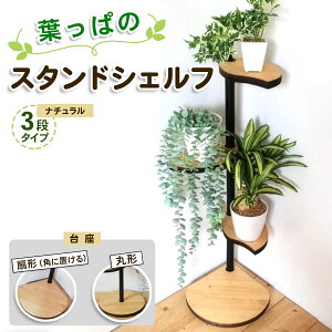 yӂ邳Ɣ[Łztς̃X^hVFt 3i^Cv i`^Iׂ [pɂu`] [ی`] VR؁^bR[i[ pu ԑ I u fBXvCI Ce