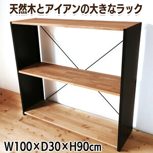 yӂ邳Ɣ[ŁzVR؂ƃACȂ傫ȃbN W100×H90×D30cmbrO HI I Y i [2432]