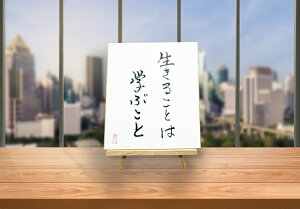 yӂ邳Ɣ[ŁzI[PATCFy邱Ƃ͊wԂƁz[2445]