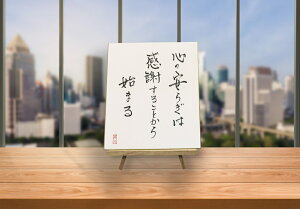 yӂ邳Ɣ[ŁzI[PATCFyS̈炬͊ӂ邱Ƃn܂z[2447]