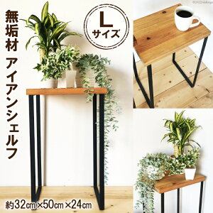 yӂ邳Ɣ[Łzr[Ly[Ώ CނƃACÃVFt CguE LTCY 32cm ibV쏊 { s [0863]