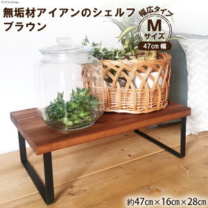 yӂ邳Ɣ[Łzr[Ly[Ώ I CނƃACÃVFt L^Cv M47cm uE 47cm×16cm×s28cm ibV쏊 { s Ƌ CeA VF