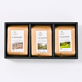 【ふるさと納税】森をまもるコーヒー!竹炭焙煎珈琲　3袋セット(粉)【1009924】