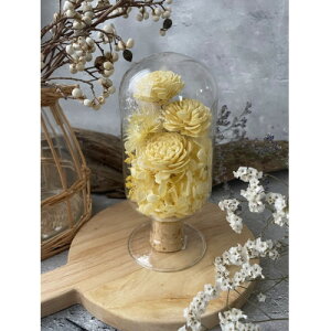 yӂ邳Ɣ[ŁzyFnzVbottle flowers@Lsizey1308095z
