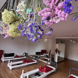 【ふるさと納税】枚方市　無理しないで身体を変える!マシンピラティスプライベートレッスン(リフォーマー60分)【1510422】