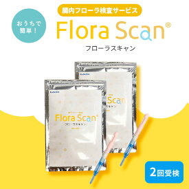 【ふるさと納税】【2回受検セット】腸内フローラ検査サービス「Flora Scan」【1302437】