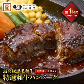 【ふるさと納税】特選和牛〈焼肉薩摩 完熟平野幸一之牛〉ハンバーグ10個_ ハンバーグ 和牛 特選 黒毛和牛 1kg 10個 冷凍 人気 おすすめ 送料無料 贈答 ギフト プレゼント 【配送不可地域：離島】【1014403】