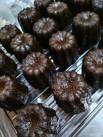 【ふるさと納税】A302　カヌレ9個 ファンシーどうぶつクッキー1セット【洋菓子 お菓子 手作り かわいい 冷凍 保存 大阪 八尾市】