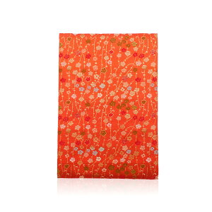 �y�ӂ邳�Ɣ[�ŁzL115 ���w�D���� �ߏ��聕��p���t��