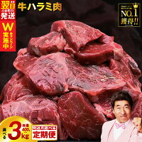 【ふるさと納税】総合1位獲得 牛 ハラミ 数量限定 選べる内容量 300g...