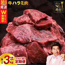 【ふるさと納税】総合1位獲得 牛 ハラミ 数量限定 選べる内容量 300g 〜 3kg 牛すじ佃煮 付き 訳あり 楽天限定 厳選 味付け肉 小分け 個包装 発送時期が選べる 牛肉 タレ漬け 手作り 焼肉 肉 牛ハラミ 肉の泉佐野 送料無料 最短 翌日発送 5営業日 泉佐野市 アキラCP