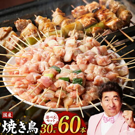 【ふるさと納税】焼鳥 バーベキュー BBQ キャンプ アウトドア 惣菜 小分け 鶏肉 お肉 国産 簡単 調理 おつまみ 酒の肴 焼鳥丼 食品 食べ物 お取り寄せ お取り寄せグルメ 関西 すぐ届く 大阪府 泉佐野市 冷凍 送料無料 肉の泉佐野