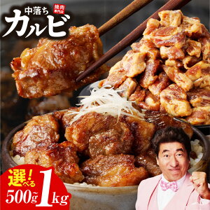 yӂ邳Ɣ[Łz_eʂIׂ^ ĂX Ɛ^Ђ Jr 500g (250g×2) / 1kg (250g×4)  H׉ Ðh t ē BBQ Ⓚ ^pbN Ă ȒP  