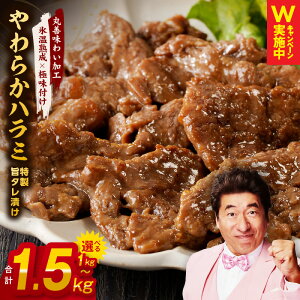 yӂ邳Ɣ[Łzy󂠂z 炩n~ 1kg / 1.5kg |^Ђ t s  yXn×ɖtz  n~ ^Ђ ē BBQ o[xL[  ȒP Ă | Xn