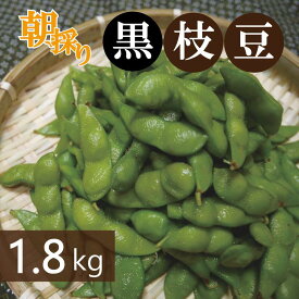 【ふるさと納税】畑から直送・朝採り黒枝豆 1.8kg