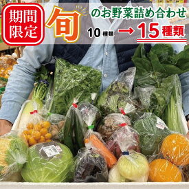 【ふるさと納税】【期間限定】旬のお野菜詰め合わせ 15種類（+5種類）