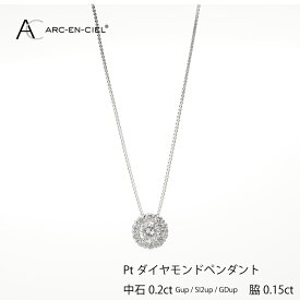 【ふるさと納税】ダイヤモンド ペンダント ネックレス 中石 計 0.2ct プラチナ ジュエリー アルカンシェル アクセサリー 宝石 プレゼント レディース ギフト 女性 鑑別書付き