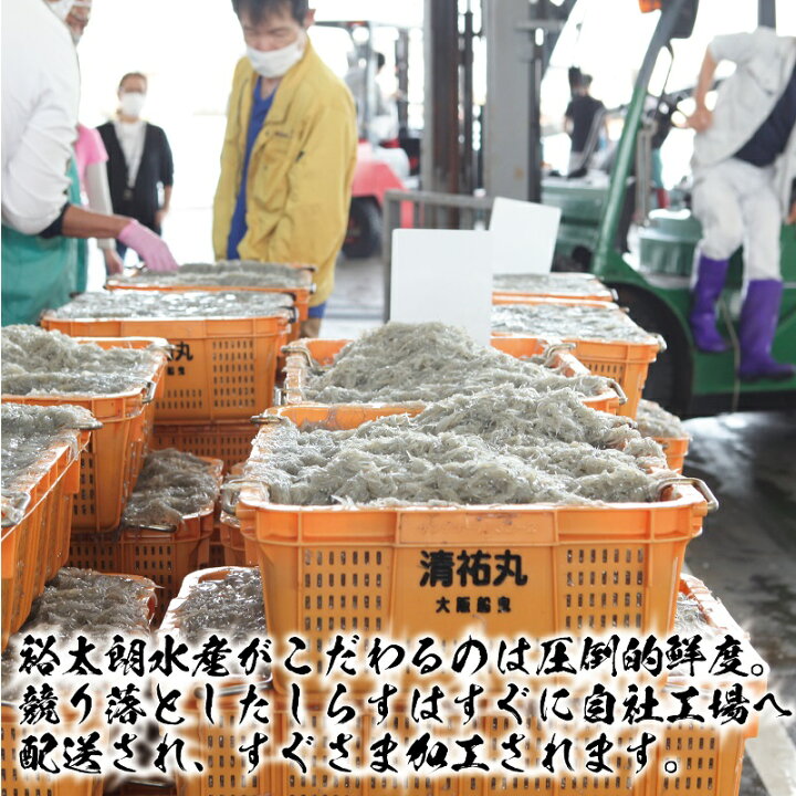 市場 ふるさと納税 鮮度にこだわりました 大阪岸和田市産 市場 ふるさと納税 鮮度にこだわりました 大阪岸和田市産