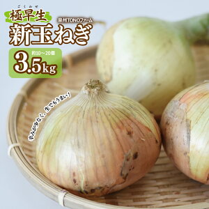 yӂ邳Ɣ[Łzys\z ɑ V܂˂ 3.5kg BTONOt@[