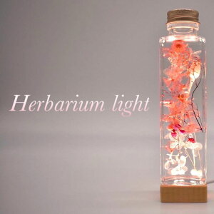 yӂ邳Ɣ[ŁzHerbarium Light Ɩ Cg  AeB[N
