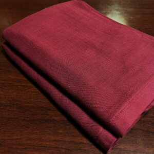yӂ邳Ɣ[ŁzK[[ oX^I 2 GW   60×120cm ЖʃK[[ ЖʃpC z  B^I 100 { n PF _炩dオ   p