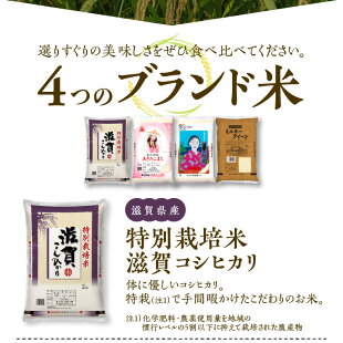 アイテムID:495325の画像3枚目