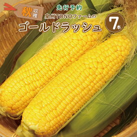 【ふるさと納税】先行予約 ゴールドラッシュ 7本 トウモロコシ 数量限定 秋収穫 朝採れ 粒皮がやわらかい 国産 新鮮 野菜 甘い 産地直送 土作り こだわり栽培 厳選 高糖度 冷蔵便 スイートコーン 旬 旨味 濃厚 詰め合わせ 贈り物 ギフト用 大阪府 泉佐野市 送料無料