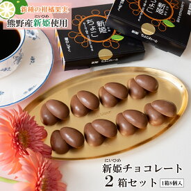 【ふるさと納税】新姫(にいひめ)チョコレート 2箱セット 瀧のしずく