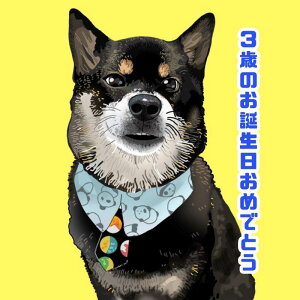 yӂ邳Ɣ[Łzv[gɃsb^IGA[g 1