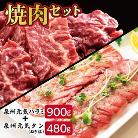 【ふるさと納税】大人気 ファミリー向け 焼肉セット 牛たん 牛ハラミ肉 総量1.38kg