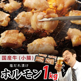 【ふるさと納税】塩だれ漬け 国産牛ホルモン（小腸）1kg 焼肉用 小分け 250g×4