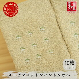 【ふるさと納税】スーピマコットンハンドタオル 10枚セット（ベージュ）