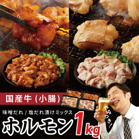 【ふるさと納税】国産牛ホルモン（小腸）味噌・塩だれミックス 小分け焼肉用 1kg 肉の泉佐野