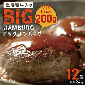 【ふるさと納税】【期間限定】黒毛和牛入り BIGハンバーグ 総量2.4kg（200g×12個）泉州玉ねぎ使用