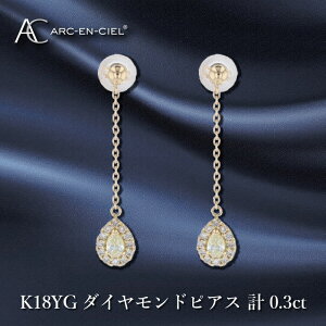 yӂ邳Ɣ[Łzy8/1`iz ARC-EN-CIEL K18 _CsAX _C v 0.3ct 18 CG[S[h sAX VR_Ch yAVFCvJbg P OsAX h tFCXC 