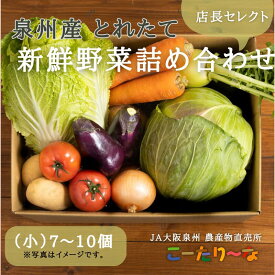【ふるさと納税】直売所店長セレクト季節の野菜セット（小）