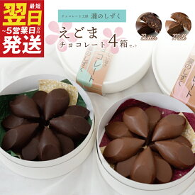 【ふるさと納税】えごまチョコレート 2種 4箱 セット ビター ミルク 瀧のしずく チョコレート チョコ 国産えごま 手作り ビターチョコレート ミルクチョコレート スイーツ 洋菓子 菓子 お菓子 デザート 最短 翌日発送 5営業日 泉佐野市 送料無料