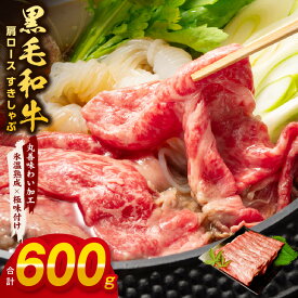 【ふるさと納税】肉の泉佐野／黒毛和牛 肩ロース 600g 経産牛 すき焼き しゃぶしゃぶ 【丸善味わい加工】 氷温熟成牛 牛肉 熟成肉 氷温熟成 作り方 ふるさと納税オリジナル 限定