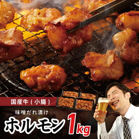 【ふるさと納税】国産 牛肉 ホルモン 1kg 味噌だれ漬け 焼肉用 小分け 250g × 4P ご飯のお供 バイキング左近 秘伝の味噌ダレ 小腸 総重量1キロ 冷凍 焼くだけ 味付き肉 お取り寄せグルメ 大阪府 泉佐野市 送料無料 肉の泉佐野