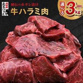 【ふるさと納税】＼発送時期が選べる／ ＼レビューキャンペーン／ 訳あり 牛肉 牛 ハラミ タレ漬け 牛たん ねぎ塩 焼肉 BBQ 手切り加工 焼肉用 焼くだけ 簡単 肉厚 肉 牛ハラミ ジューシー お取り寄せ 食品 肉の泉佐野 送料無料 泉佐野市 大阪府